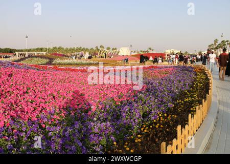 Yanbu, région de Madinah, Arabie saoudite. 23 mars 2019 - Fête des fleurs - événement annuel organisé par la Commission royale Banque D'Images