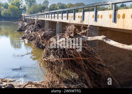 Gros plan sur de gros et petits débris coincés contre un pont en béton après une inondation. L'eau de la rivière est encore brune. Banque D'Images