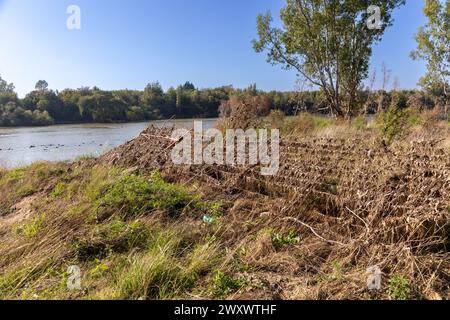 Des débris d'herbe se sont collés à une clôture après que le fleuve Vaal en Afrique du Sud a éclaté ses rives et inondé les zones environnantes. Banque D'Images