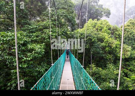 Homme marchant sur le pont suspendu dans la passerelle de canopée au sommet de l'arbre dans la forêt tropicale de Danum Lahad datu Sabah Borneo Malaisie Banque D'Images