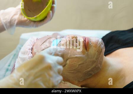 Une femme se fait appliquer un masque facial sur son visage par un professionnel des soins de la peau dans un cadre de spa. Banque D'Images