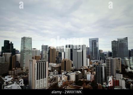 Tokyo paysage Un paysage de 2024 où de nouveaux immeubles de grande hauteur sont dispersés dans une ville réaménagée Banque D'Images