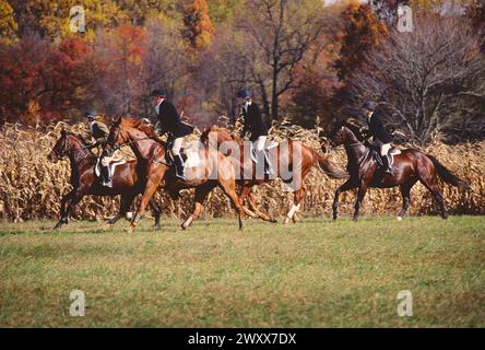 La chasse au renard à cheval, CHESHIRE FOXHOUNDS RUNNYMEADE, ferme, COMTÉ DE CHESTER, Pennsylvania, USA Banque D'Images