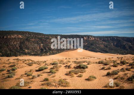 Le désert majestueux du parc d'État de Coral Pink Sand Dunes Banque D'Images