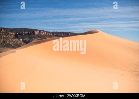 Le désert majestueux du parc d'État de Coral Pink Sand Dunes Banque D'Images