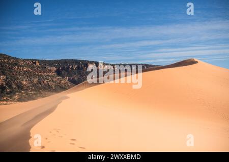 Le désert majestueux du parc d'État de Coral Pink Sand Dunes Banque D'Images