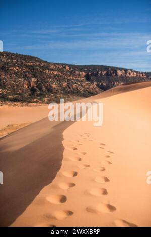 Le désert majestueux du parc d'État de Coral Pink Sand Dunes Banque D'Images