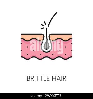 Icône de ligne de couleur de cheveux cassante pour la santé des cheveux et le traitement des follicules, pictogramme vectoriel de contour. Trichologie et icône de soin des cheveux pour shampooing, revitalisant ou soin capillaire beauté lavage et protection cosmétique Illustration de Vecteur