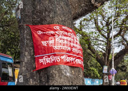 2 avril 2024, Chittagong, Chattogram, Bangladesh : les arbres sur la belle route de Tigerpass à la ville de Kadmatoli ont été marqués pour l'abattage. L’Autorité de développement de Chittagong a déclaré que ces arbres seront coupés avant la construction de l’infrastructure principale de la rampe après l’essai de sol. Plus tôt en 2021, une initiative a été prise pour construire un hôpital à CRB, un endroit entouré de beauté naturelle et de verdure. Mais la société civile a protesté contre elle. Face aux protestations de la société civile, l'hôpital n'a pas été ouvert. (Crédit image : © Md. Zakir Hossain/Pacific Press via ZUMA Press Wi Banque D'Images