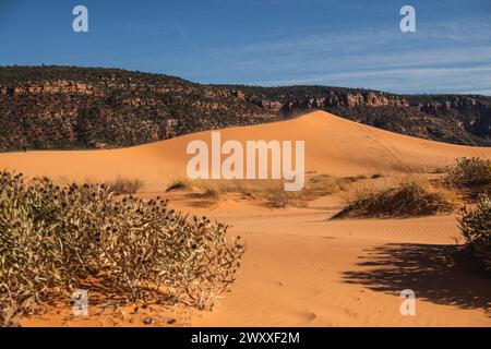 Le désert majestueux du parc d'État de Coral Pink Sand Dunes Banque D'Images