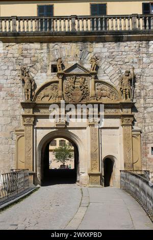 Portail, porte, arc rond, pont, pavés, figures de pierre, armoiries, relief, décoration, Palais Hohentuebingen, musée de l'Université de Banque D'Images