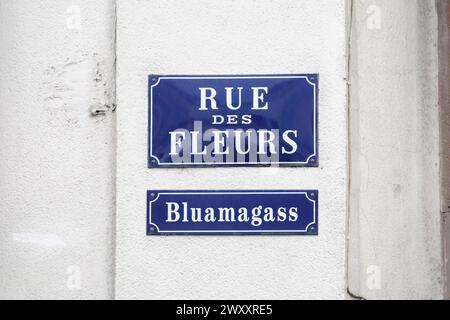 Panneaux de rue bilingues Rue des fleurs et Blumagass à un coin, Mulhouse, Alsace, France Banque D'Images