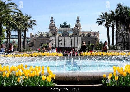 Casino de Monaco, place du Casino, Monte Carlo, Principauté de Monaco, Fontaine devant un bâtiment historique avec tulipes et palmiers, Monte Banque D'Images