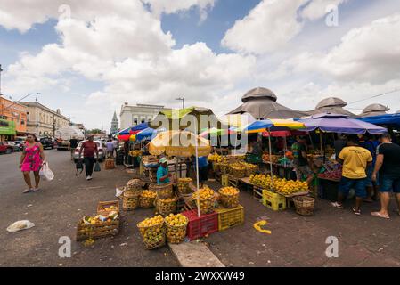 Belem, Brésil - 26 décembre 2023 : fruits à vendre au marché de rue Ver o Peso dans la partie historique de la ville. Banque D'Images