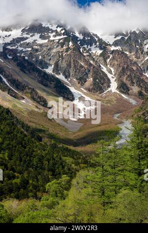 Forêt luxuriante et arbres devant d'imposants sommets enneigés sous un ciel bleu Banque D'Images