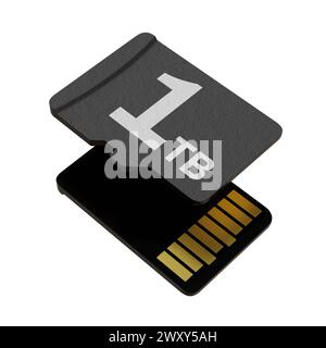 Carte mémoire d'une capacité de 1 To, disque de stockage Flash MicroSD Banque D'Images