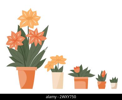 Ensemble de vecteur de fleurs de bande dessinée dans des pots en argile. Collection de cliparts de plantes plates dans des vases isolés du fond. Élément de design floral Illustration de Vecteur