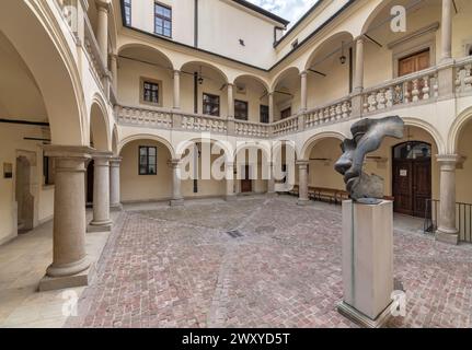 Collegium Iuridicum de l'Université Jagellonian, Cracovie, Pologne Banque D'Images