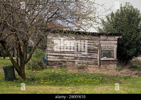 Hangar en bois en décomposition dans un jardin Banque D'Images