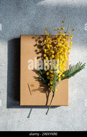 D'en haut des fleurs de mimosa brillantes reposent sur une boîte-cadeau kraft avec une étiquette, projetant des ombres dans la lumière du soleil. Banque D'Images