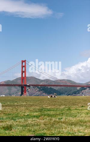 Les pique-niqueurs se détendent sur un terrain luxuriant avec l'emblématique Golden Gate Bridge qui s'élève majestueusement au loin sous un ciel printanier clair Banque D'Images