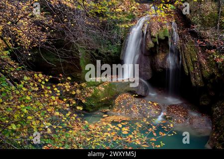 Une cascade paisible se jette dans une piscine tranquille dans la forêt de hêtres de Navarre, Urbasa, entourée par les teintes dorées de l'automne Banque D'Images