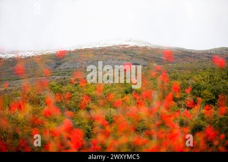 Sommet de montagne enneigé derrière un flou de feuillage automnal vibrant au premier plan, révélant la beauté saisonnière de la montagne du Nord de Guadalajara Banque D'Images