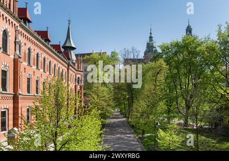 Planty Park, les plus grands parcs de la ville de Cracovie, encercle la vieille ville (Stare Miasto), où se dressaient les remparts de la ville médiévale jusqu'au début du 19e cen Banque D'Images