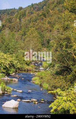 rivière Erlau dans la vallée d'Erlau, Allemagne, Bavière, Donauhangleiten, Passau Banque D'Images