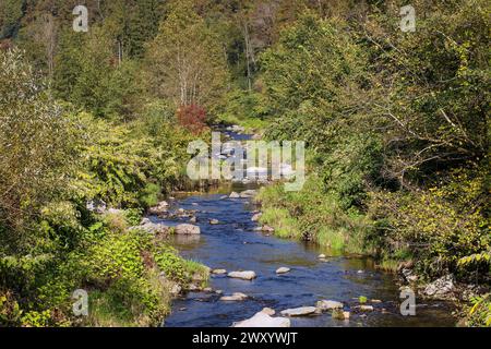 rivière Erlau dans la vallée d'Erlau, Allemagne, Bavière, Donauhangleiten, Passau Banque D'Images