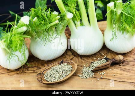 Fenouil doux (Foeniculum vulgare, Anethum foeniculum), bulbes sur une planche de bois, graines sur une cuillère en bois Banque D'Images