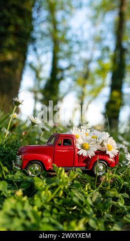 La voiture rétro rouge porte des fleurs de Marguerite dans la forêt Banque D'Images