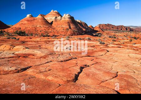 Coyote Buttes North, formations de grès, États-Unis, Arizona, Vermilion Cliffs National Monument Banque D'Images