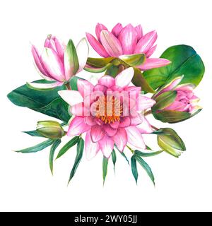 Fleurs roses, feuilles vertes, bourgeons d'un nénuphar chinois et un brin de bambou. Illustration aquarelle dessinée à la main de lotus exotiques sur isolé Banque D'Images