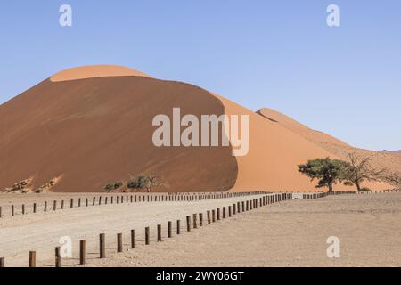 Photo de la célèbre Dune 45 dans le parc national de Soosusvlei en Namibie pendant la journée en été contre un ciel bleu Banque D'Images