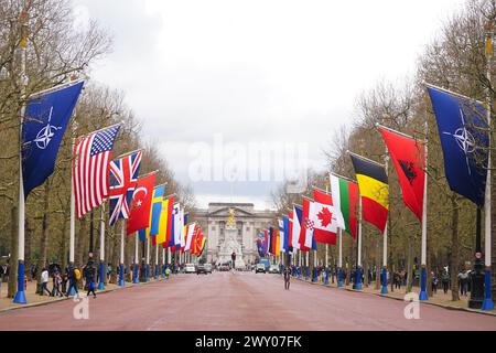 Des drapeaux de l'OTAN sont accrochés devant les drapeaux nationaux des pays membres de l'OTAN dans le Mall de Londres, à l'occasion du 75e anniversaire de l'Organisation du Traité de l'Atlantique Nord. Date de la photo : mercredi 3 avril 2024. Banque D'Images