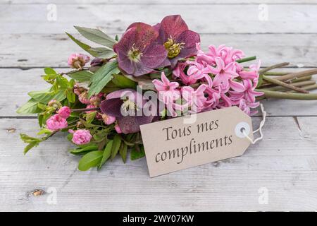 Carte de voeux avec bouquet de jacinthes bleues et carte avec texte français : tout le meilleur Banque D'Images