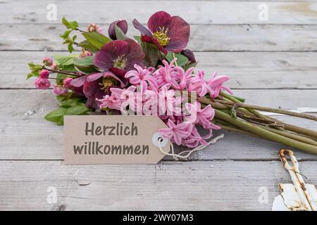 Bouquet avec jacinthes roses, roses de Noël et carte avec texte allemand : chaleureusement bienvenue Banque D'Images