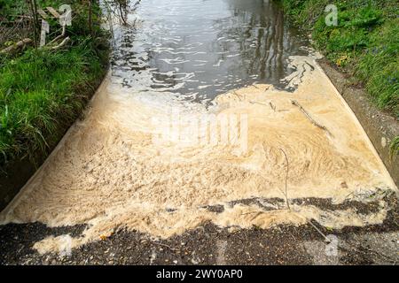 Weybridge, Royaume-Uni. 3 avril 2024. Les eaux usées flottent sur la Tamise à Weybridge, Surrey. Thames Water a rejeté des eaux usées dans la Tamise à de nombreux endroits à travers les comtés de Homes et Londres. Thames Water emain sous les projecteurs en raison de leur terrible bilan sur les rejets d'eaux usées, le manque d'investissements et les dividendes versés aux investisseurs étrangers. Certains demandent la renationalisation de l'eau de Tamise. Crédit : Maureen McLean/Alamy Live News Banque D'Images