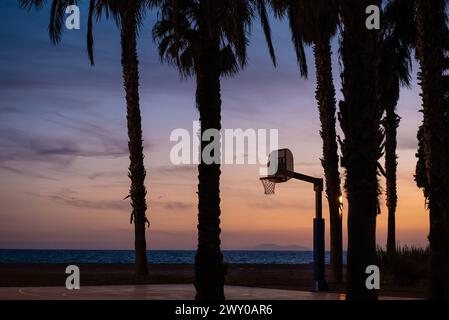 Terrain de basket-ball extérieur avec cerceau au coucher du soleil dans le parc des palmiers, vibrations tropicales californiennes Banque D'Images