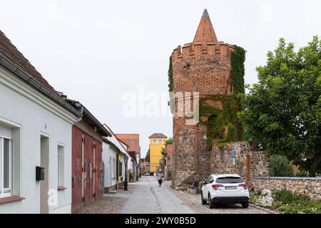 Stadtmauer mit Mäuseturm, Altstadt von Beeskow, Brandenburg, Deutschland *** mur de la ville avec tour de souris, vieille ville de Beeskow, Brandebourg, Allemagne Banque D'Images