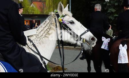 DATE D'ENREGISTREMENT NON INDIQUÉE Bautzen - Sorbischer Brauch : Osterreiter verkünden Auferstehung 31.03.2024 Bautzen und OT : Stiebitz Fotograf : LausitzNews.de/Tim Kiehle Die tradition des Osterreitens wird in der Lausitz seit vielen Jahrhunderten gepflegt. In 9 verschiedenen Prozessionen machen sich wieder hunderte Reiter mit geschmückten Pferden auf den Weg, um die Botschaft der Auferstehung Christi ins Land hinaus zu tragen. In Bautzen setzte sich die Prozession gegen 10:45 Uhr, mit dem Ziel Radibor, in Bewegung. Zuvor wurden die Reiter von Dompfarrer Veit Scapan gesegnet, danach setzte auch er sich au Banque D'Images