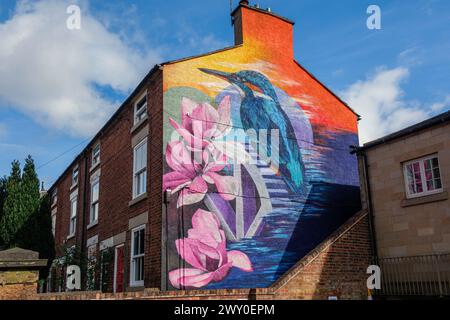 Une fresque murale de l'artiste Sarah Yates représentant un martin-pêcheur et des magnolias sur le côté d'une maison à Chapel Street, Belper, Derbyshire Banque D'Images