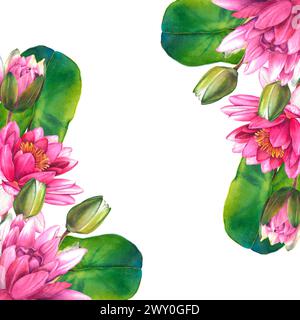 Fleurs roses et feuilles vertes de nénuphar. Illustration florale d'aquarelle dessinée à la main sur fond isolé pour les cartes de voeux ou l'invitation de mariage Banque D'Images