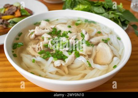 Nouilles Pho, cuisine vietnamienne traditionnelle, soupe de nouilles de riz avec poulet à la coriandre, menthe et basilic thaïlandais, soupe de cuisine vietnamienne Pho Ga avec c Banque D'Images