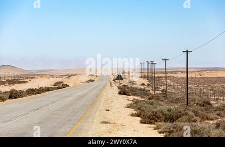 Route goudronnée dans la région de Namaqualand en Afrique du Sud Banque D'Images