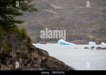 De petits icebergs du glacier Grey flottent dans le lac Grey dans le parc national Torres del Paine, province de Última Esperanza, Chili. Banque D'Images