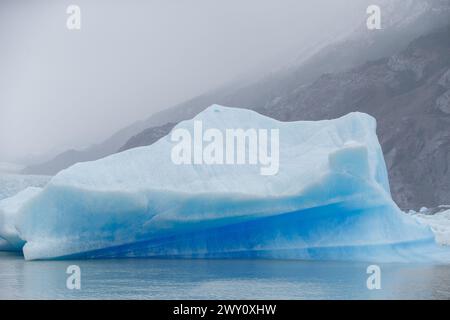 De petits icebergs du glacier Grey flottent dans le lac Grey dans le parc national Torres del Paine, province de Última Esperanza, Chili. Banque D'Images