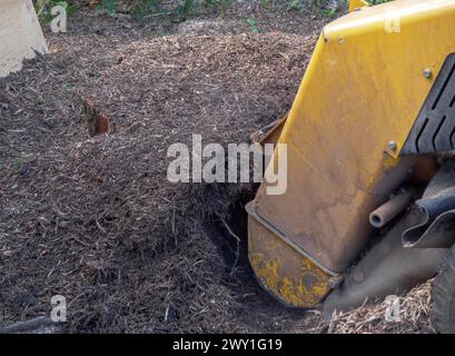 Broyeur de souches pour l'enlèvement de souches d'arbres, Tutzing, Bavière, Allemagne Banque D'Images