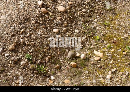 Texture de sol sèche et poussiéreuse avec des cailloux et de la saleté et peu de végétation. Banque D'Images